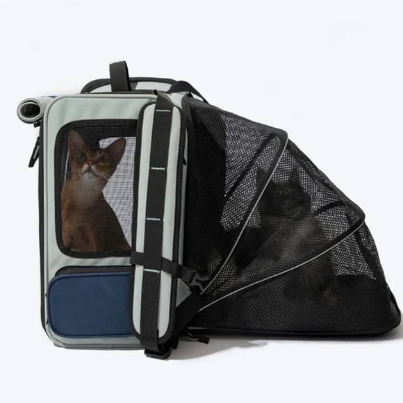 Hidream Pet Carrier - Picture 9 of 10